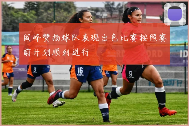 阎峰赞扬球队表现出色比赛按照赛前计划顺利进行