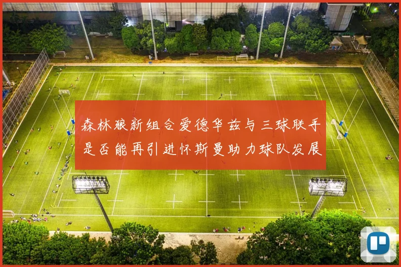 森林狼新组合爱德华兹与三球联手是否能再引进怀斯曼助力球队发展