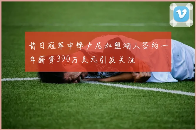 昔日冠军中锋卢尼加盟湖人签约一年薪资390万美元引发关注